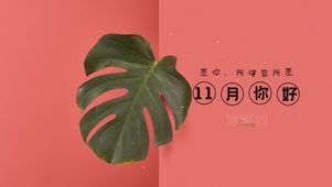 11月你好所得皆所愿