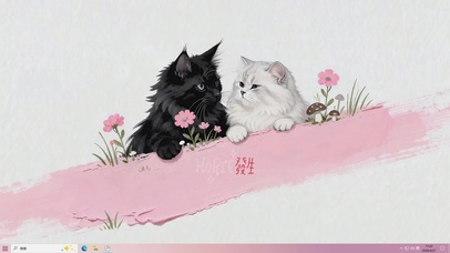 可爱黑白猫