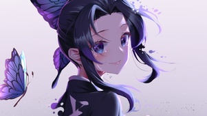 蝴蝶忍