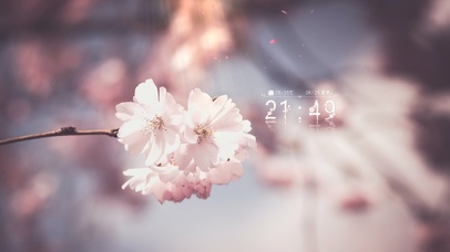 唯美治愈花瓣4k