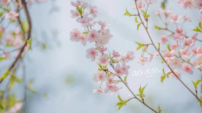 治愈唯美桃花飞舞