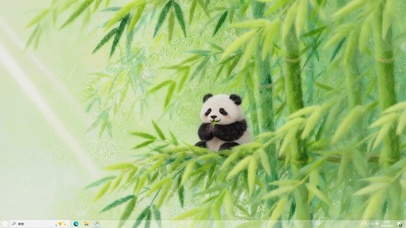 竹林熊猫