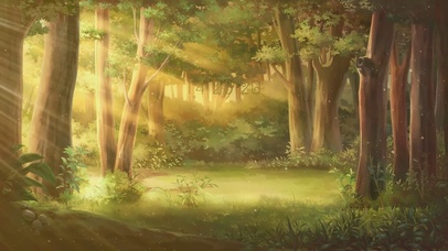 森林阳光