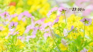 治愈唯美清新夏日