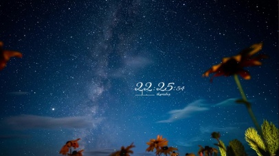 4k 治愈唯美星空下的鲜花