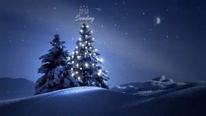 星空下的圣诞树