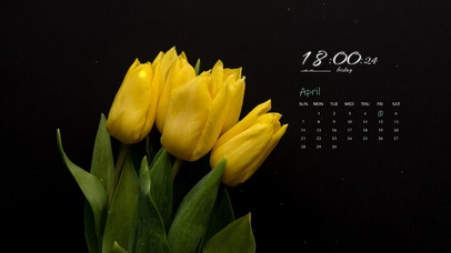 4k荧光郁金香桌面