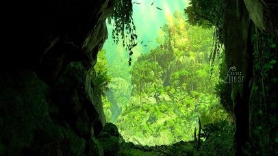 6K 超清治愈 【森之荧光】