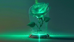水晶玫瑰