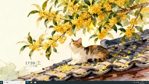 屋顶 猫咪