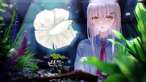 水族馆少女