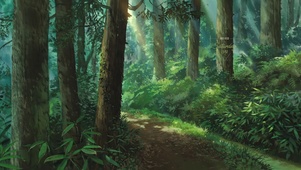 树林小路