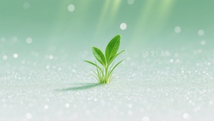 简约小清新桌面