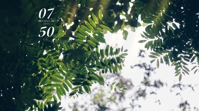 4k高清简约阳光清新系列