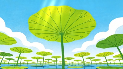 荷叶之下绿悠悠