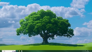 一棵大树—【主题桌面】