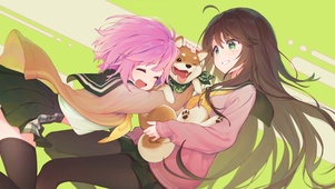 柴犬超萌！