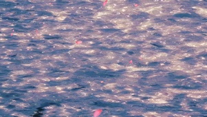 波浪海  壁纸