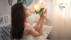 喜欢香槟玫瑰的老婆
