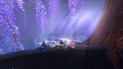 憨憨结义一周年