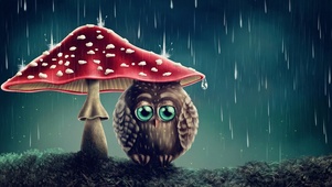 梦幻卡通