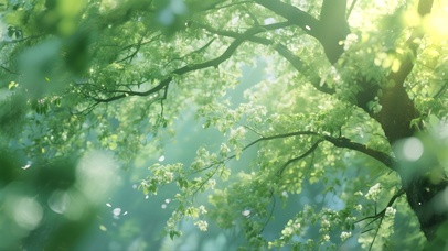 极致空灵！夏日治愈系清新大树