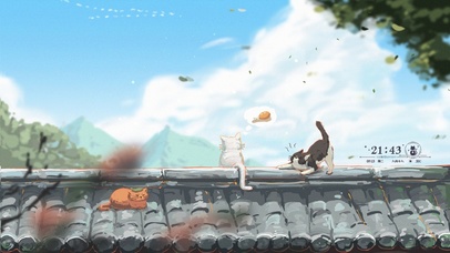 4K屋檐上的猫猫