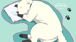 阿尼亚的狗狗