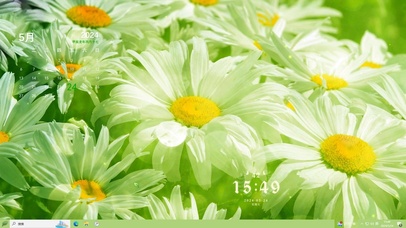 清新雏菊【配套主题】