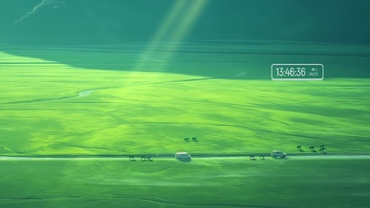 风吹草地见牛羊