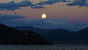 月夜二