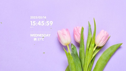 简约清新郁金香壁纸