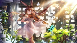 兔女郎演奏小提琴