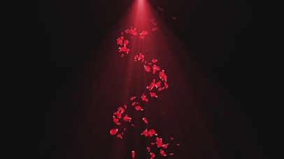 光束玫瑰花瓣旋转下落