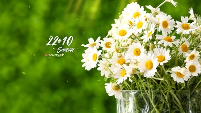 高清4k小清新壁纸