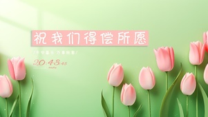 小清新郁金香