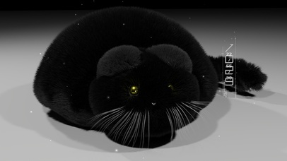 大黑猫子