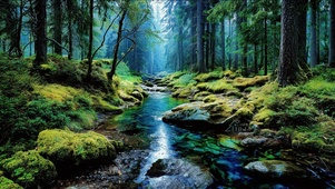 超解压静谧山林溪流