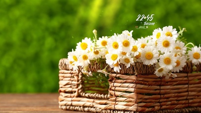 4k治愈清新桌面