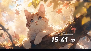 阳光与小猫咪