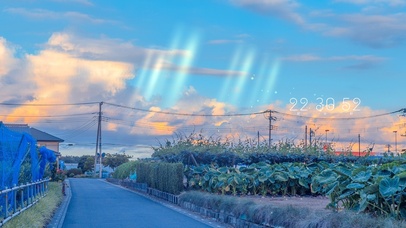 唯美治愈清晨小路