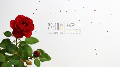 4k清新花朵桌面