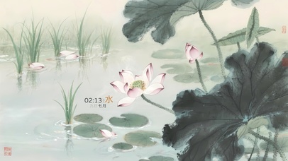 4k 治愈梦幻荷花池