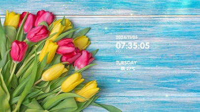 小清新护眼郁金香壁纸