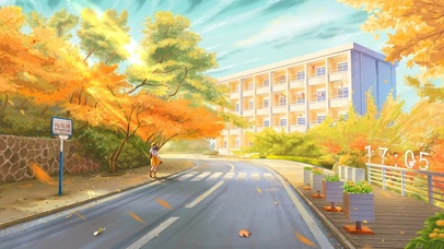 4K唯美校园枫林路