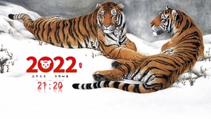 2022虎年大吉