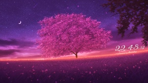 星空下的樱花树