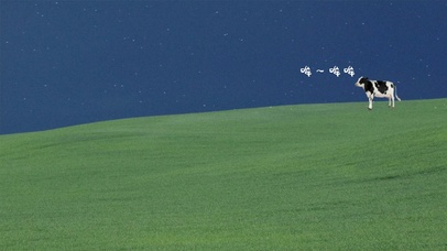 真正的牛马都是向往大草原的