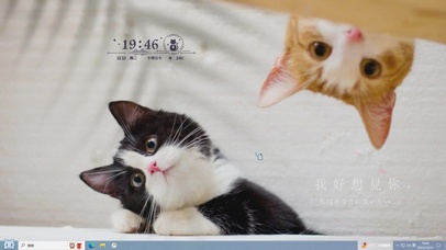 歪头杀猫咪主题壁纸