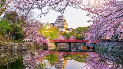 治愈唯美樱花湖畔